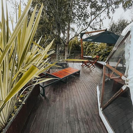 Domus Glamping Hotel Guatape Bagian luar foto