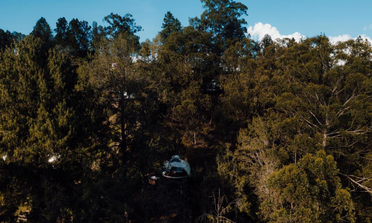 Domus Glamping Hotel Guatape Bagian luar foto