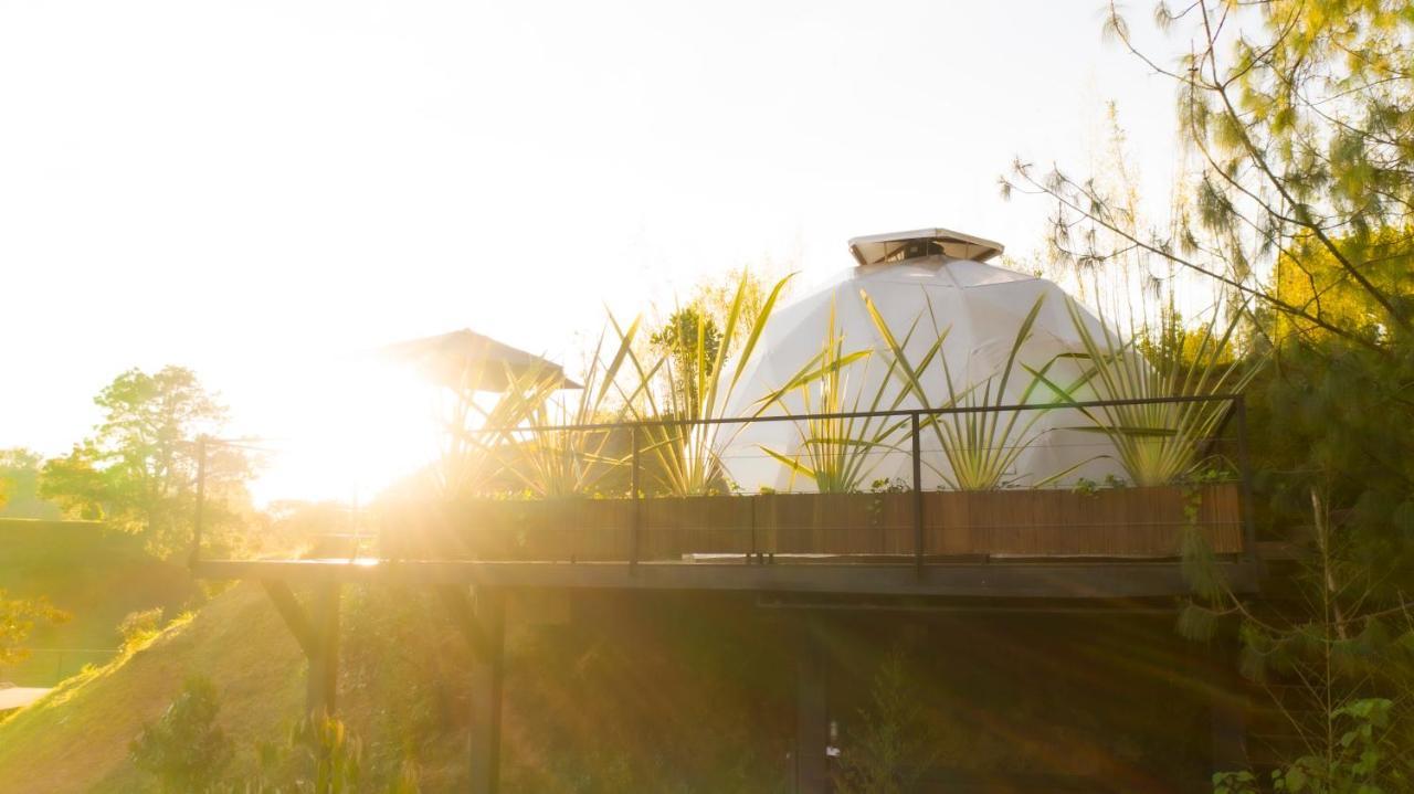 Domus Glamping Hotel Guatape Bagian luar foto