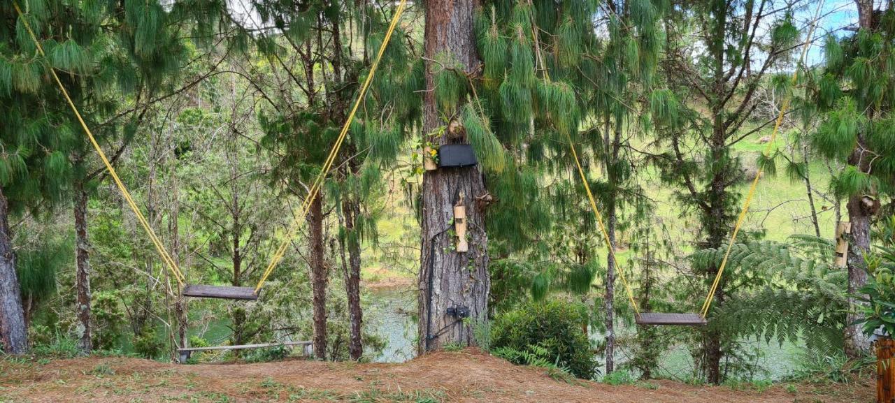 Domus Glamping Hotel Guatape Bagian luar foto
