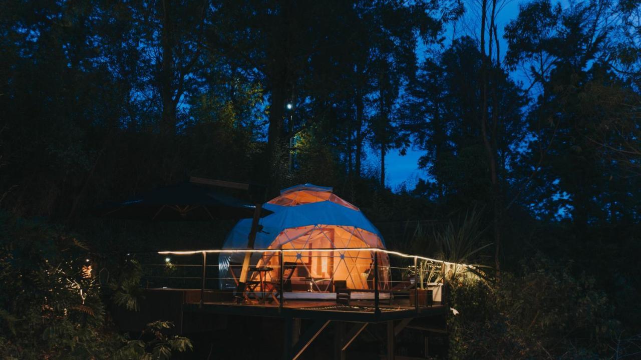 Domus Glamping Hotel Guatape Bagian luar foto
